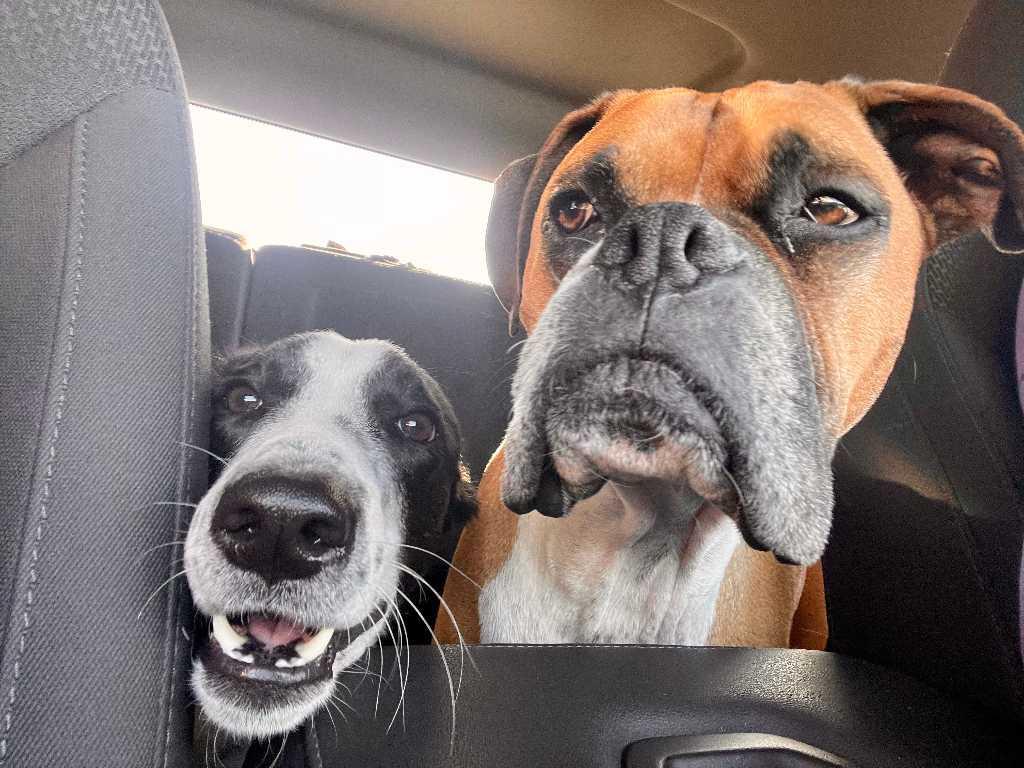 3 ½ à louer! | 3192399