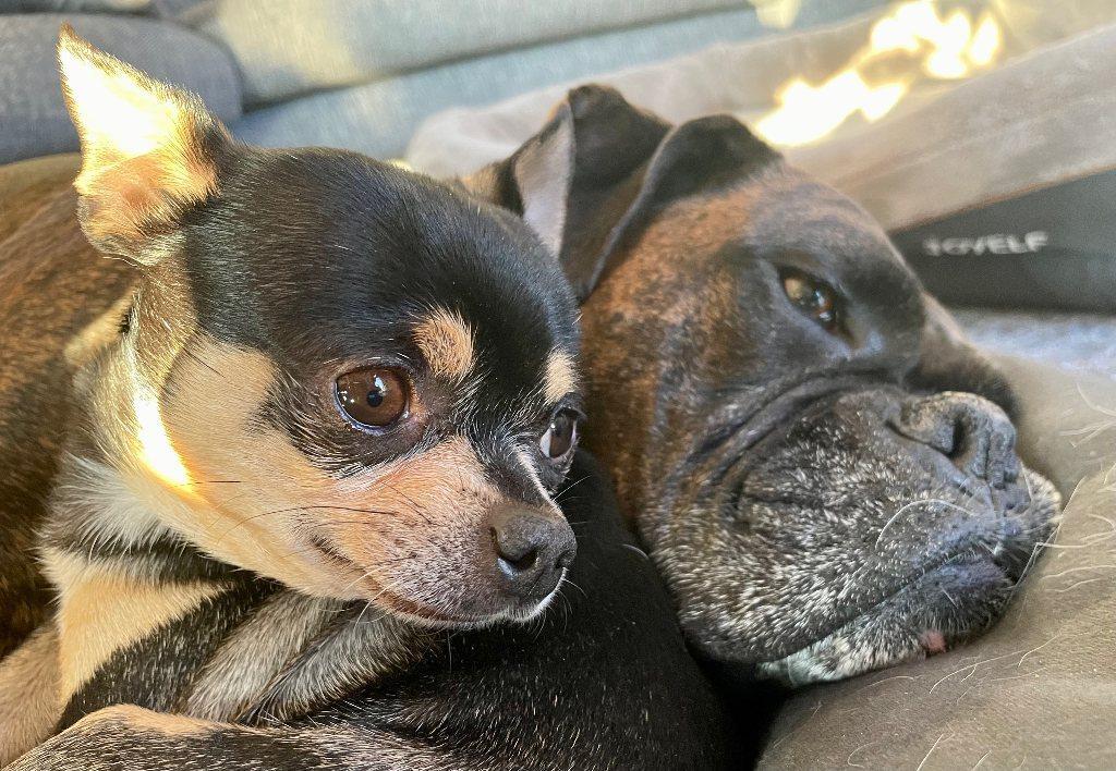 3 ½ à louer! | 3192399