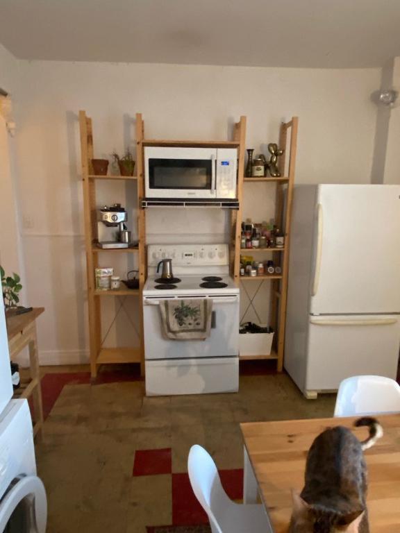 3 1/2 à louer | 3192520