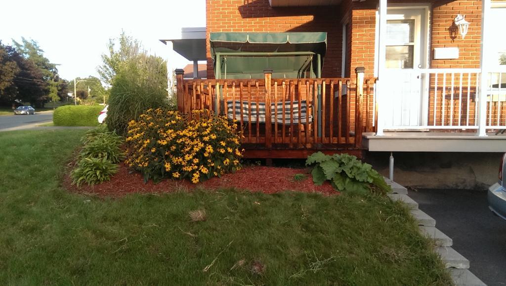 Grand 3.5 a louer A Granby 1er Juillet | 3192521