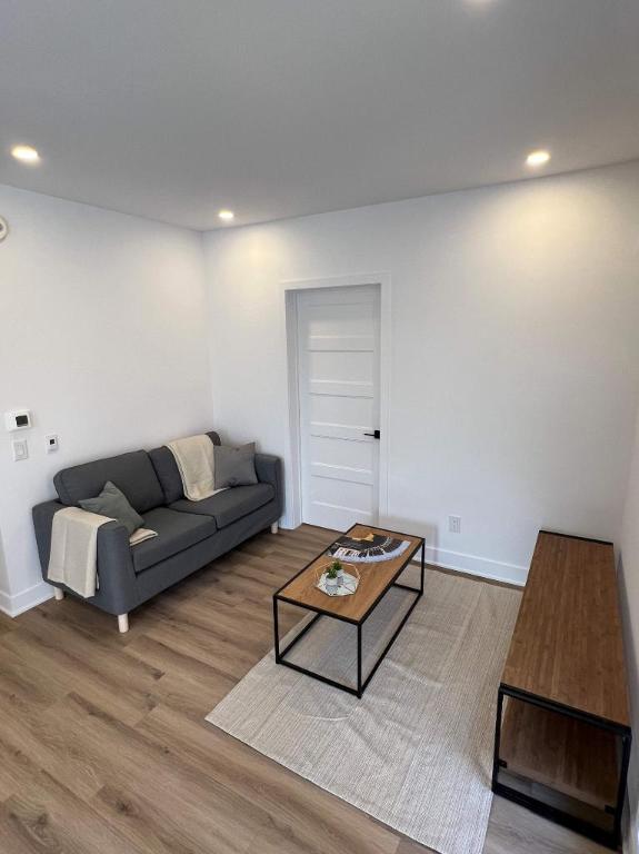 Neuf 5 1/2, électros et internet inclus! 6180 Vanier | 3192635