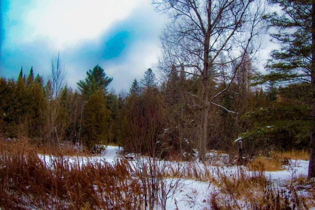 Terrain Constructible Très privé avec accès à la rivière petite rouge | 3192641