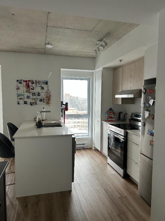 Cessation de bail appartement 3 1/2 | 3193220