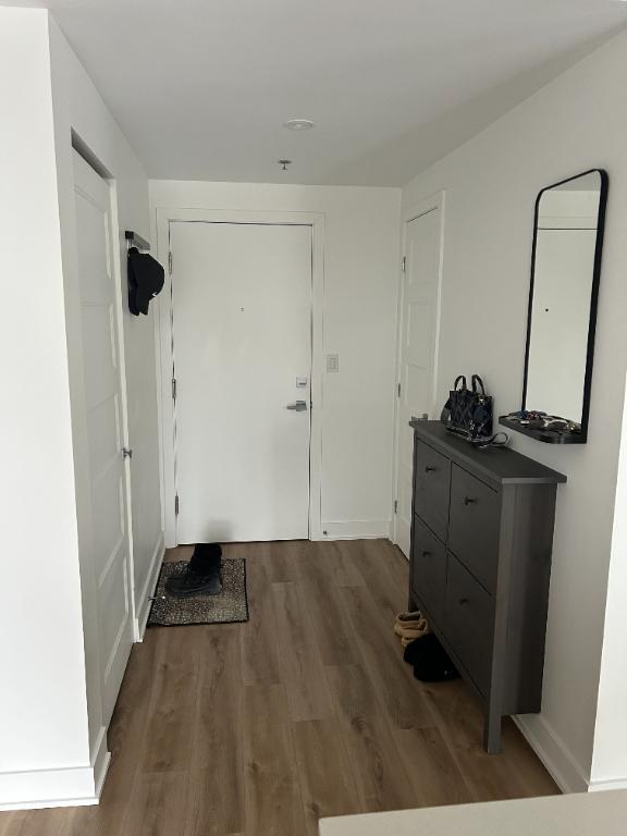 Cessation de bail appartement 3 1/2 | 3193220