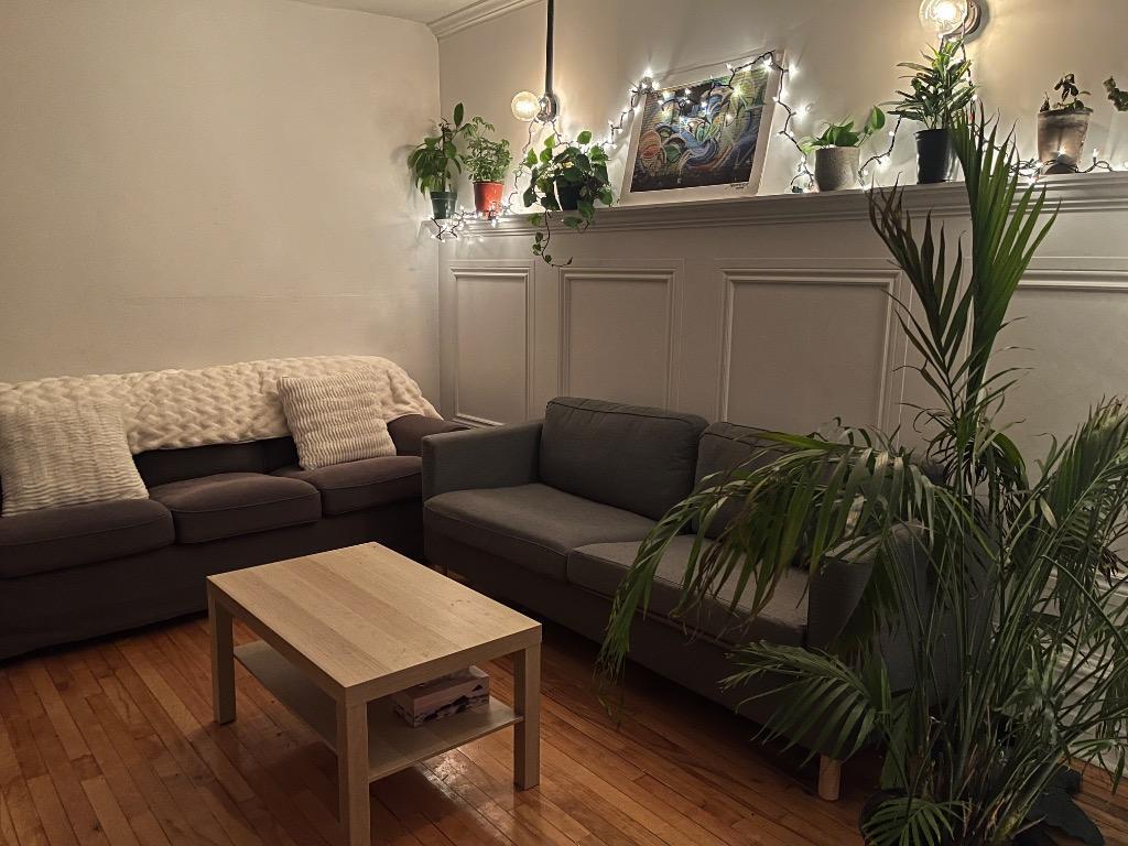Chambre privées à louer dans une colocation Mile End, Montréal | 3193806