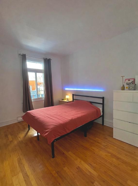 Chambre privées à louer dans une colocation Mile End, Montréal | 3193806