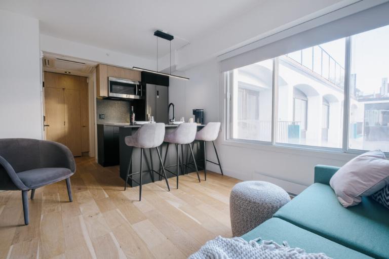 Loft entièrement meublé à louer Saint-Jean-Baptiste février 2026 | 3197100