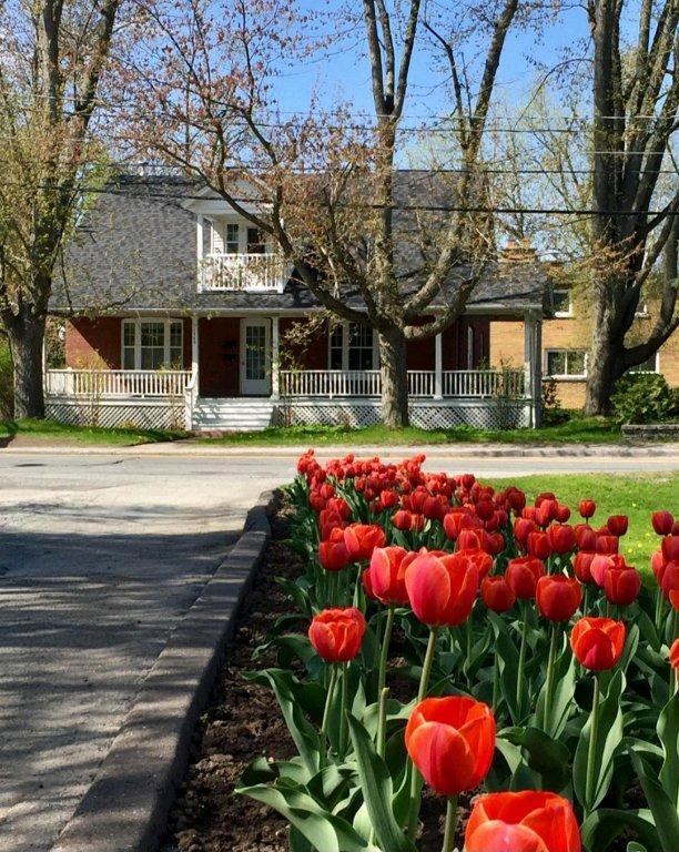 TOUT INCLUS 5 ½ – Vieux Nord - Chauffage/Internet/Électro inclus | 3193825