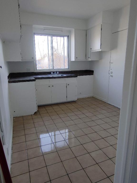 4-1/2 chien accepté libre 1er février ou avant | 3194158