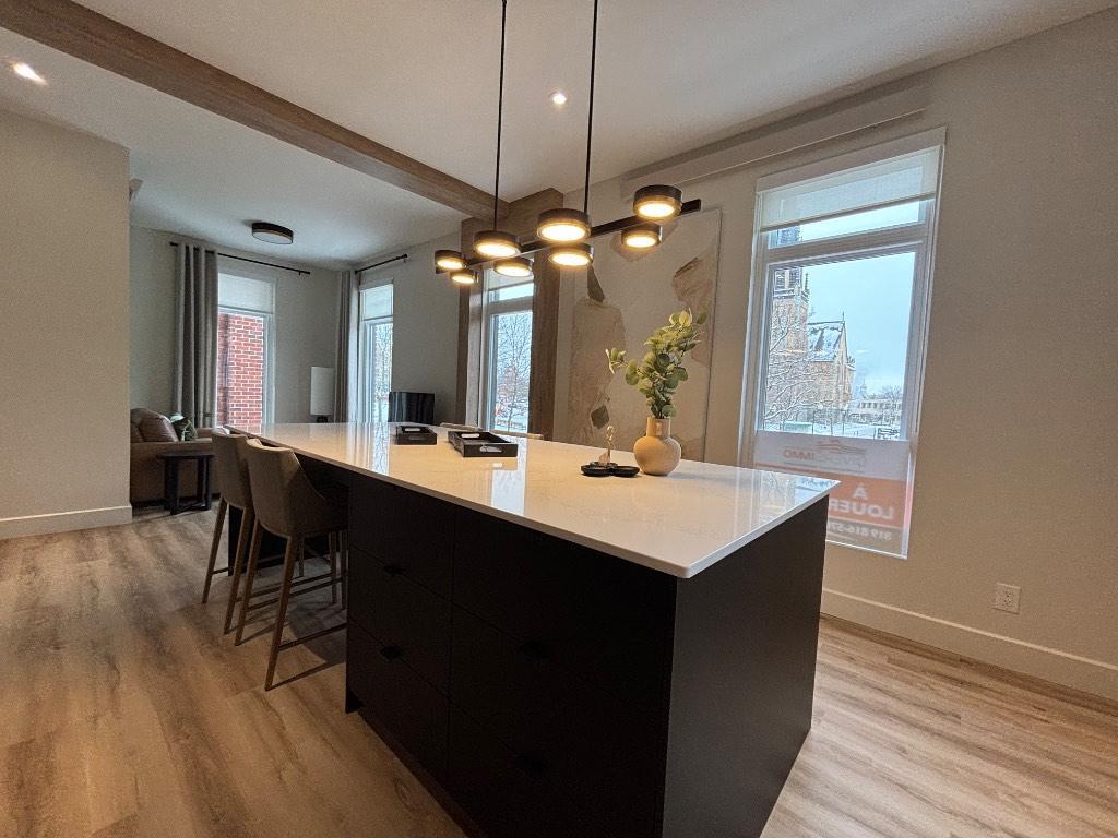 Magnifique appartement meublé au centre-ville Drummondville | 3194414