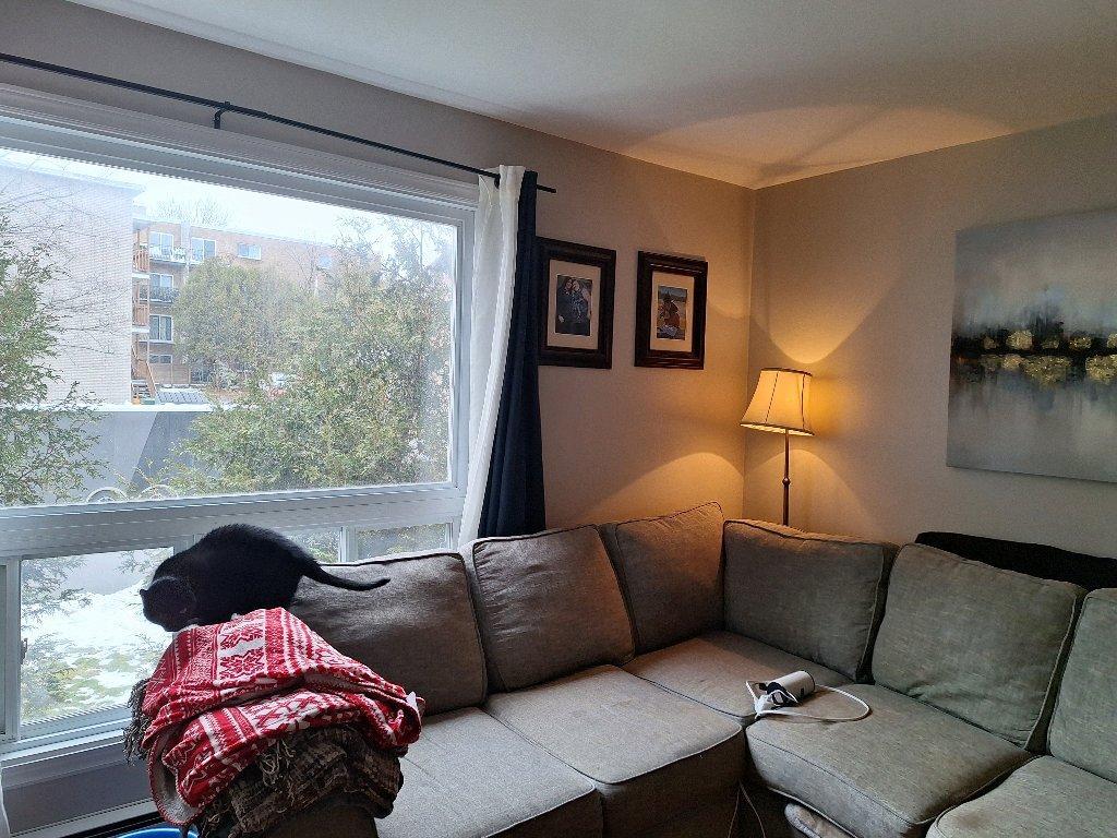 Grand 4 et demi | 3194763