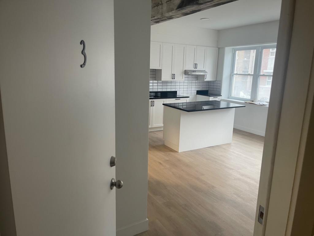 Appartement 3 1/2 rénové au centre-ville | 3194764