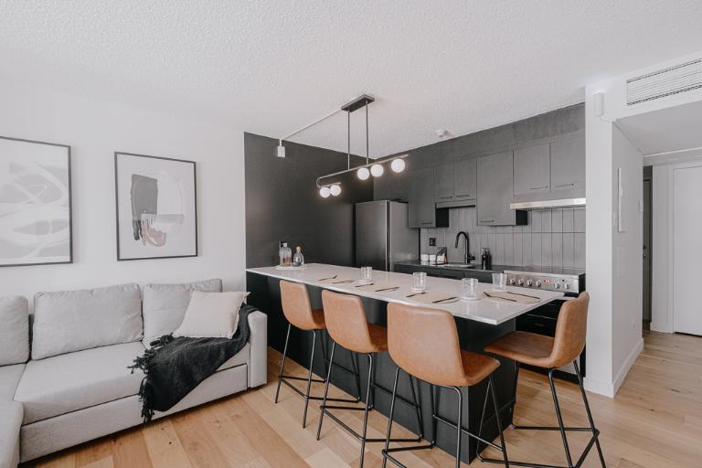 Loft entièrement meublé à louer Saint-Jean-Baptiste décembre 2025 | 3194852