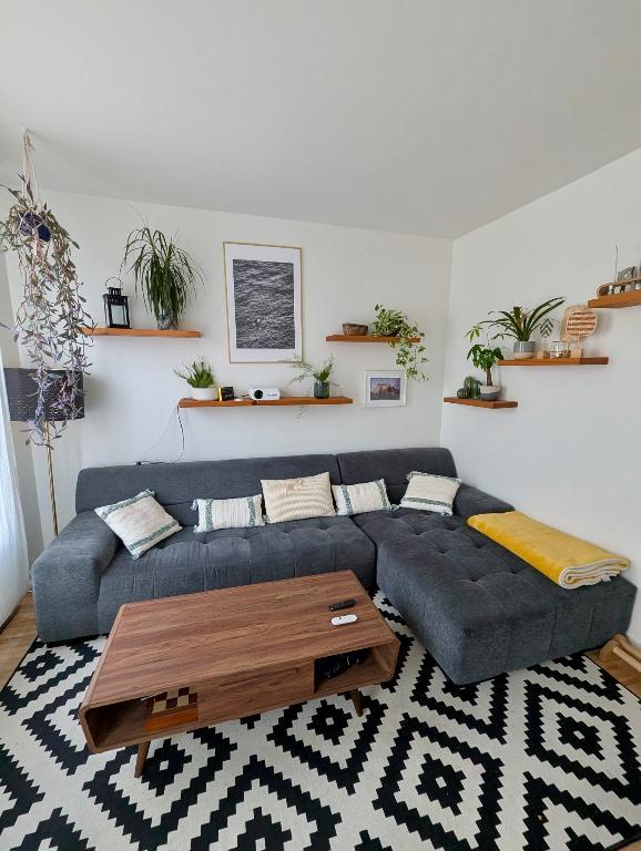 Charmant 4 1/2 au cœur du Plateau Mont-Royal | 3194860