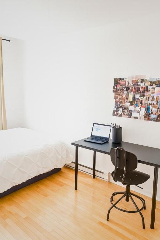 Studio - Montréal - $1,015 /mo | 3195232