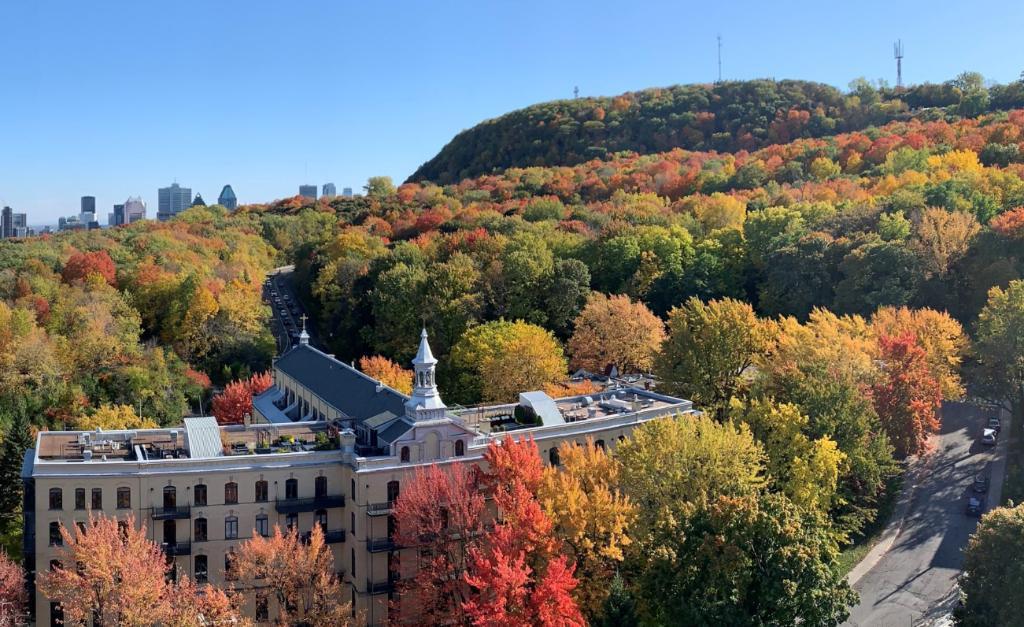 Outremont 3 1/2 et 4 1/2 – Chauffage, Balcon & Piscine inclus | 3195246