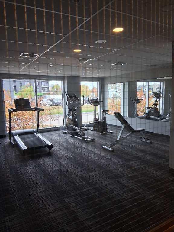 Cession de bail IMMÉDIAT | 3195256