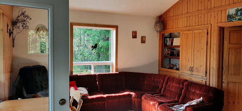 Lot a bois | 3195328