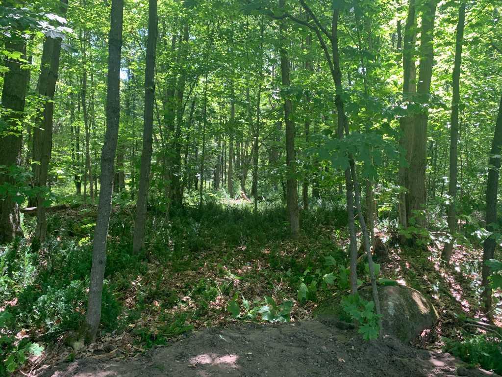 TERRAIN À VENDRE - ST-LAZARE | 3195879