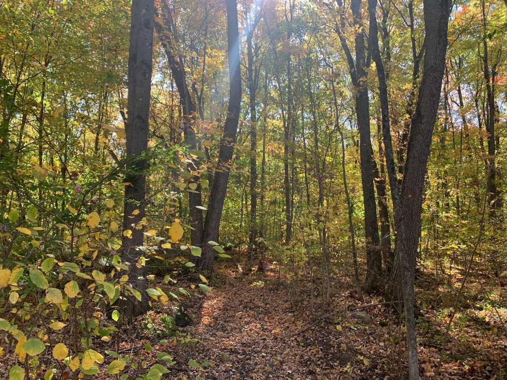 TERRAIN À VENDRE - ST-LAZARE | 3195879