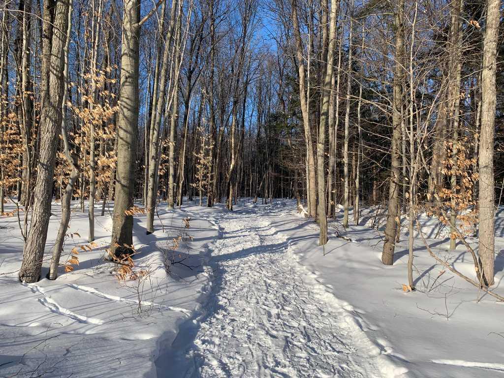 TERRAIN À VENDRE - ST-LAZARE | 3195879