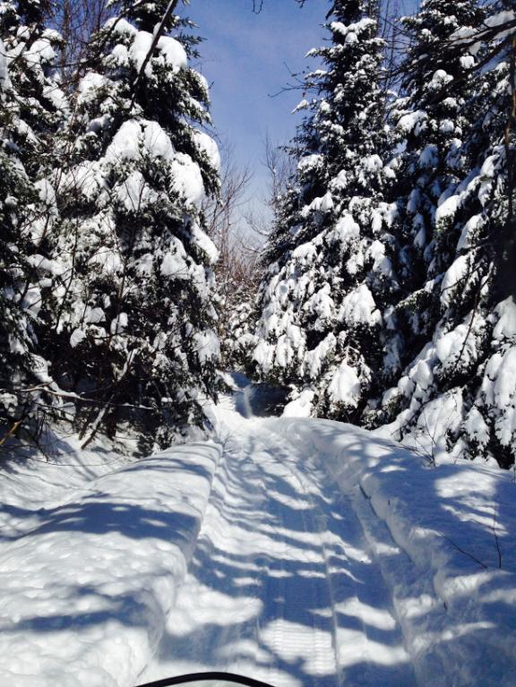 Chalets à louer, Lac Trois-Saumons, # CITQ 316588 | 3200084