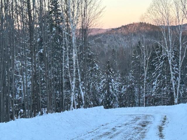 TERRAINS, ST-ALEXIS DES MONTS | 3196383