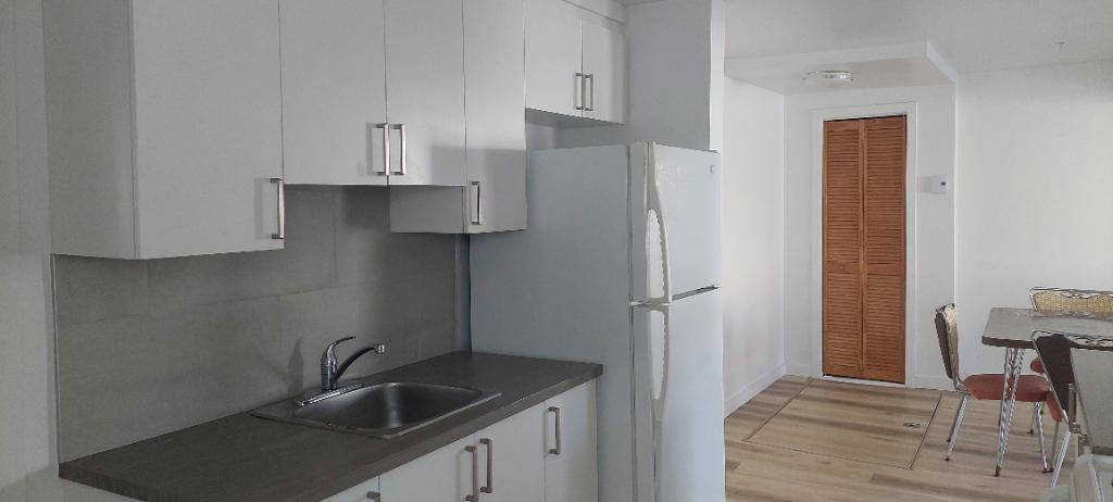 3 et demi Farnham. rénové, moderne, droit au chat, proche de tout ! | 3196426