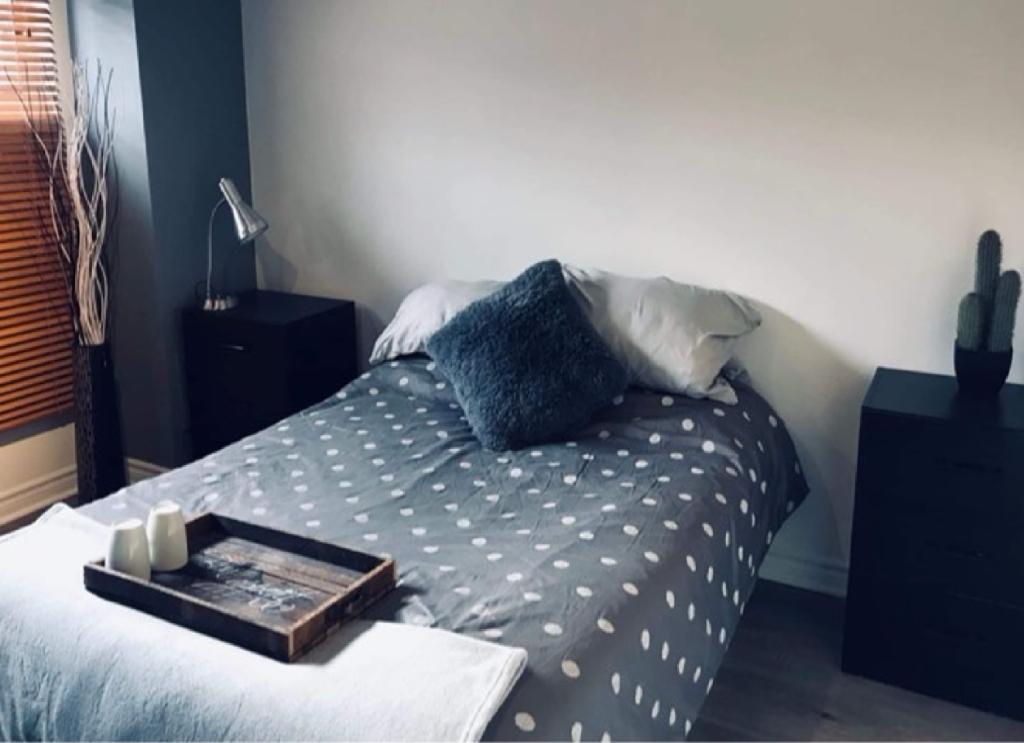 3 1/2 en location, Rosemont, appartement | 3196427