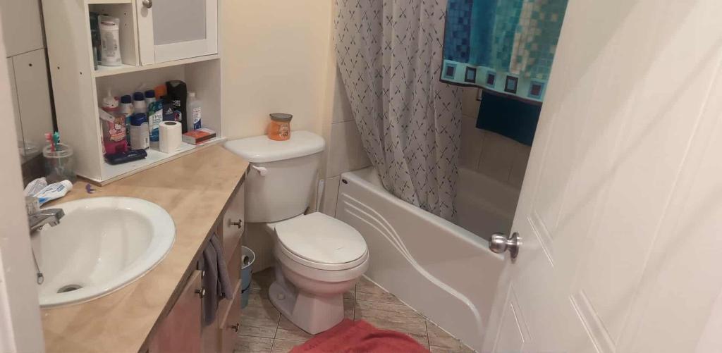 Colocataire recherché | 3197026