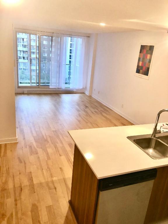 Loft condo tres bien situe a Ahuntsic | 3197056