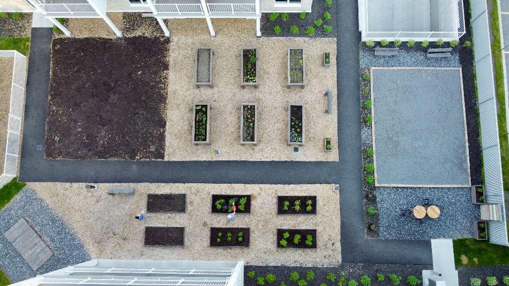 3 ½ à louer animaux autorisés! | 3197064