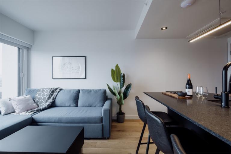 3 ½ entièrement meublé à louer Saint-Jean-Baptiste février 2026 | 3197067