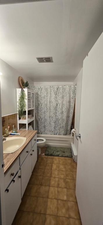 À Laval, un grand 4 1/2 à louer, disponible immédiatement | 3197070