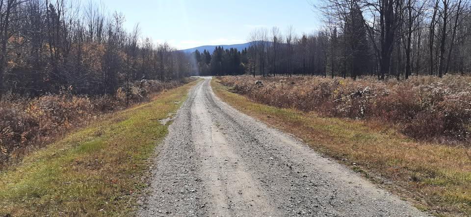 Terrain a vendre Stukely-sud,Eastman.Estrie | 3201742