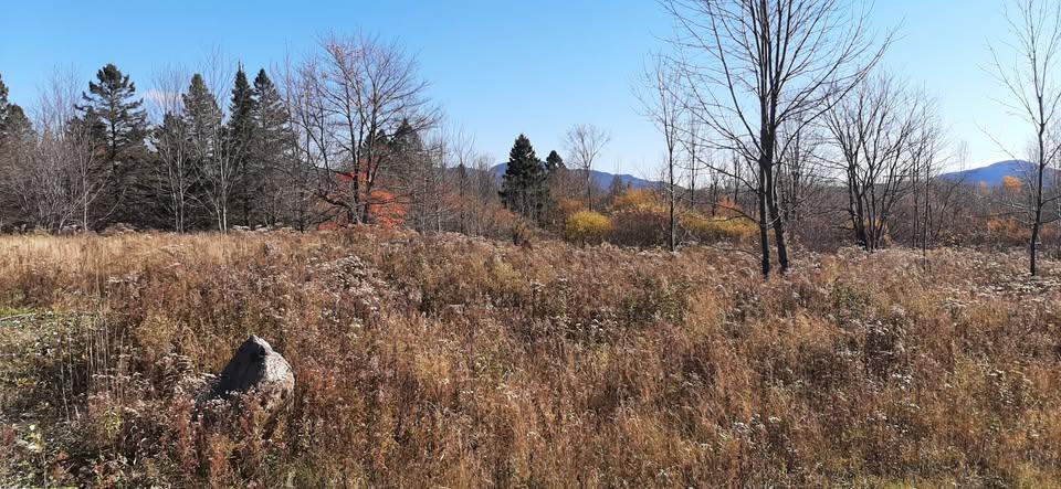 Terrain a vendre Stukely-sud,Eastman.Estrie | 3201742