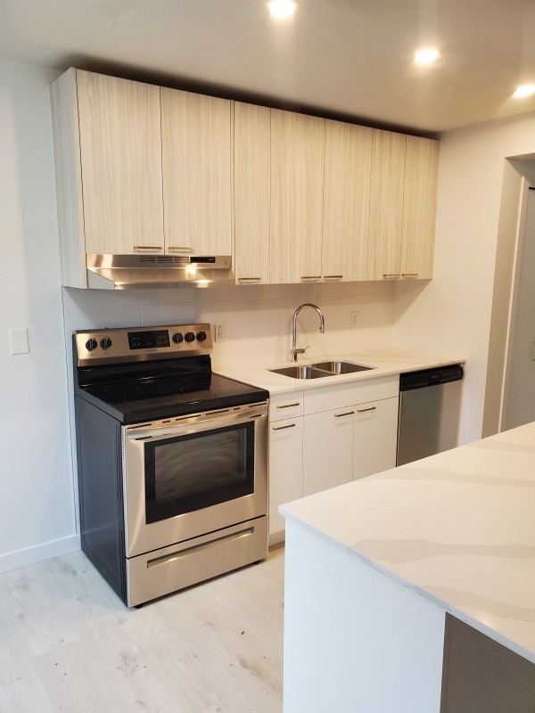 Conifer Place #2 | 3197713