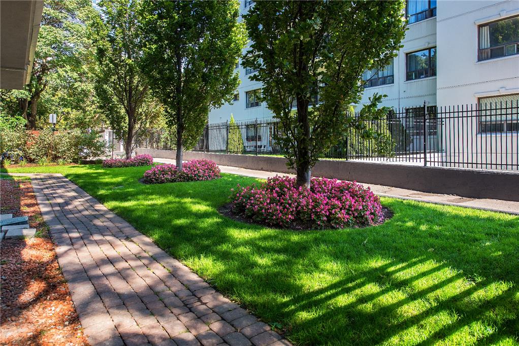 Castellana | 3206385