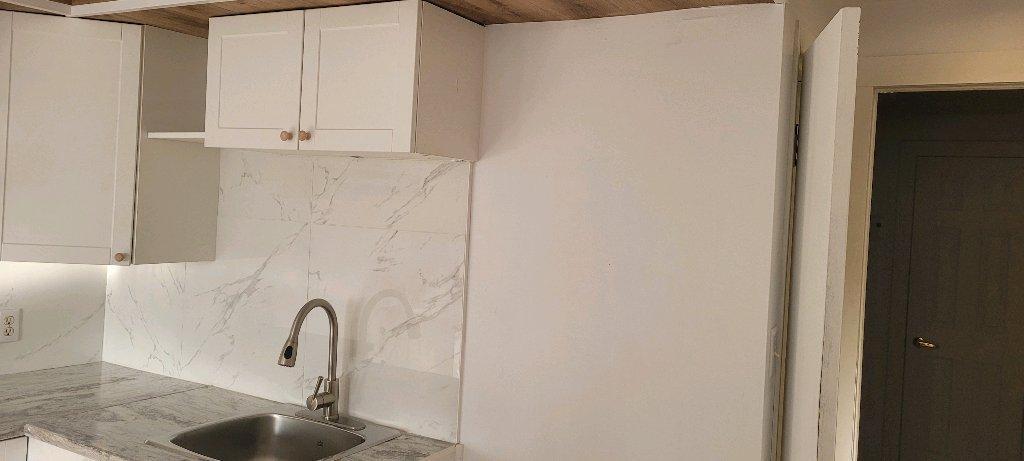 Grand 3 ½ près de l'hôpital Maisonneuve-Rosemont | 3197912