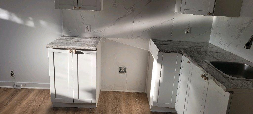 Grand 3 ½ près de l'hôpital Maisonneuve-Rosemont | 3197912