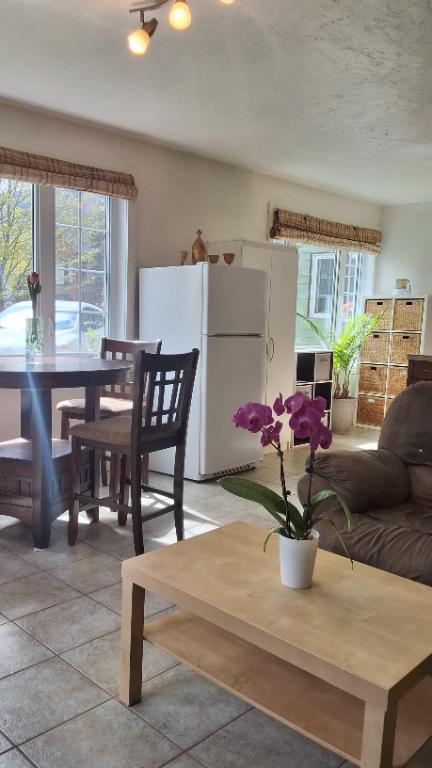 Appartement 4 1/2 MEUBLE St Ferreol les Neiges à louer | 3198526