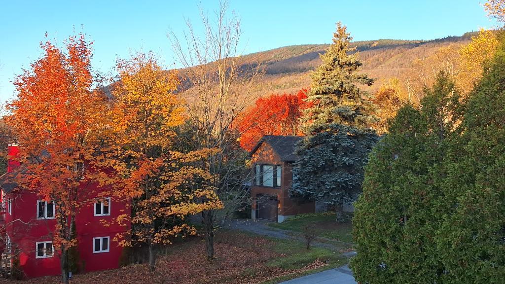 Appartement 4 1/2 MEUBLE St Ferreol les Neiges à louer | 3198526