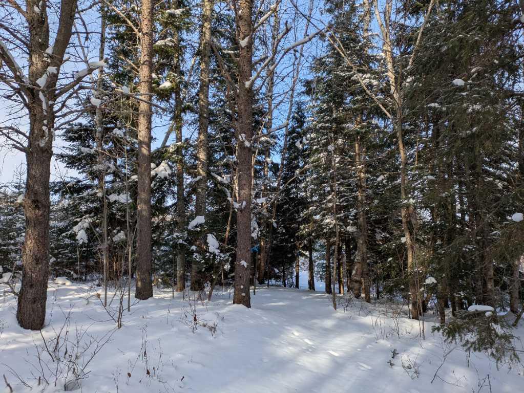 Petite terre à Ste-Perpétue de l’Islet lot zoné blanc | 3198048