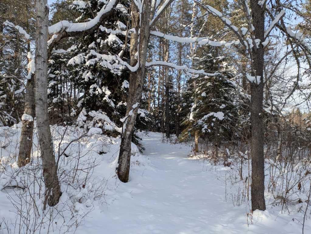 Petite terre à Ste-Perpétue de l’Islet lot zoné blanc | 3198048