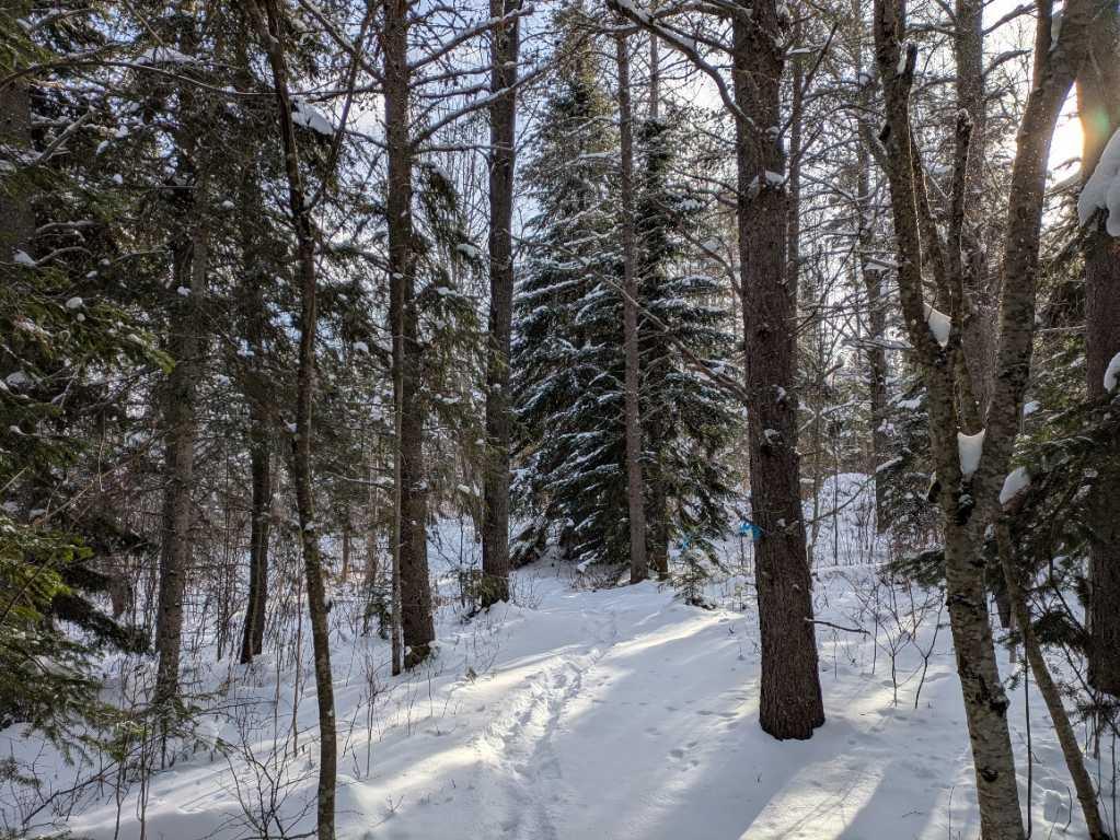 Petite terre à Ste-Perpétue de l’Islet lot zoné blanc | 3198048
