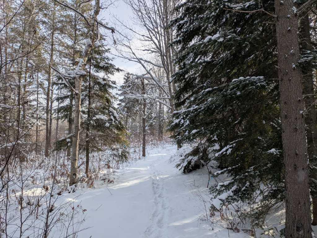 Petite terre à Ste-Perpétue de l’Islet lot zoné blanc | 3198048