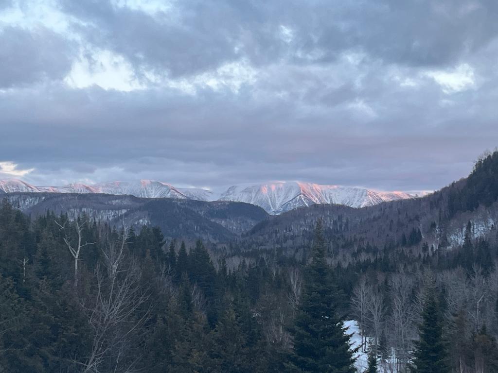 Terrain avec petit bâtiment 4 saisons | 3199281