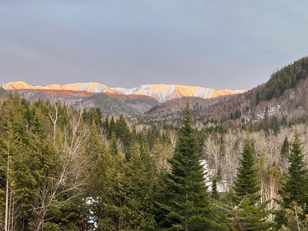 Terrain avec petit bâtiment 4 saisons | 3199281
