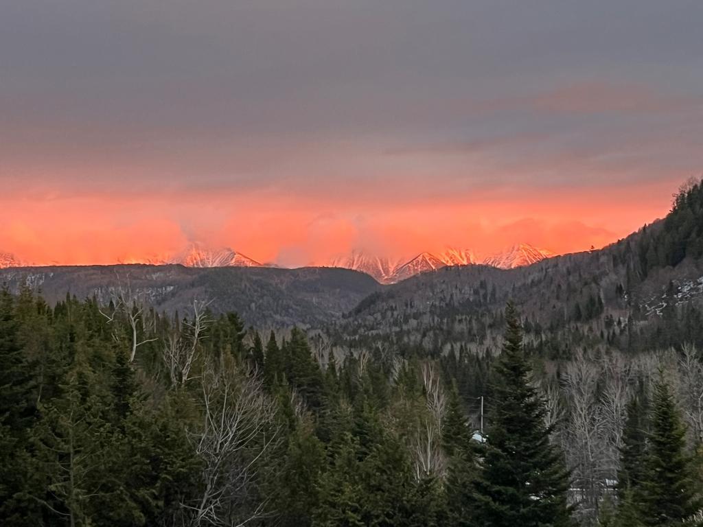 Terrain avec petit bâtiment 4 saisons | 3199281