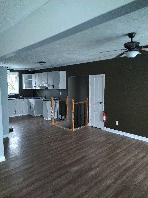 4 et demi à louer | 3200386